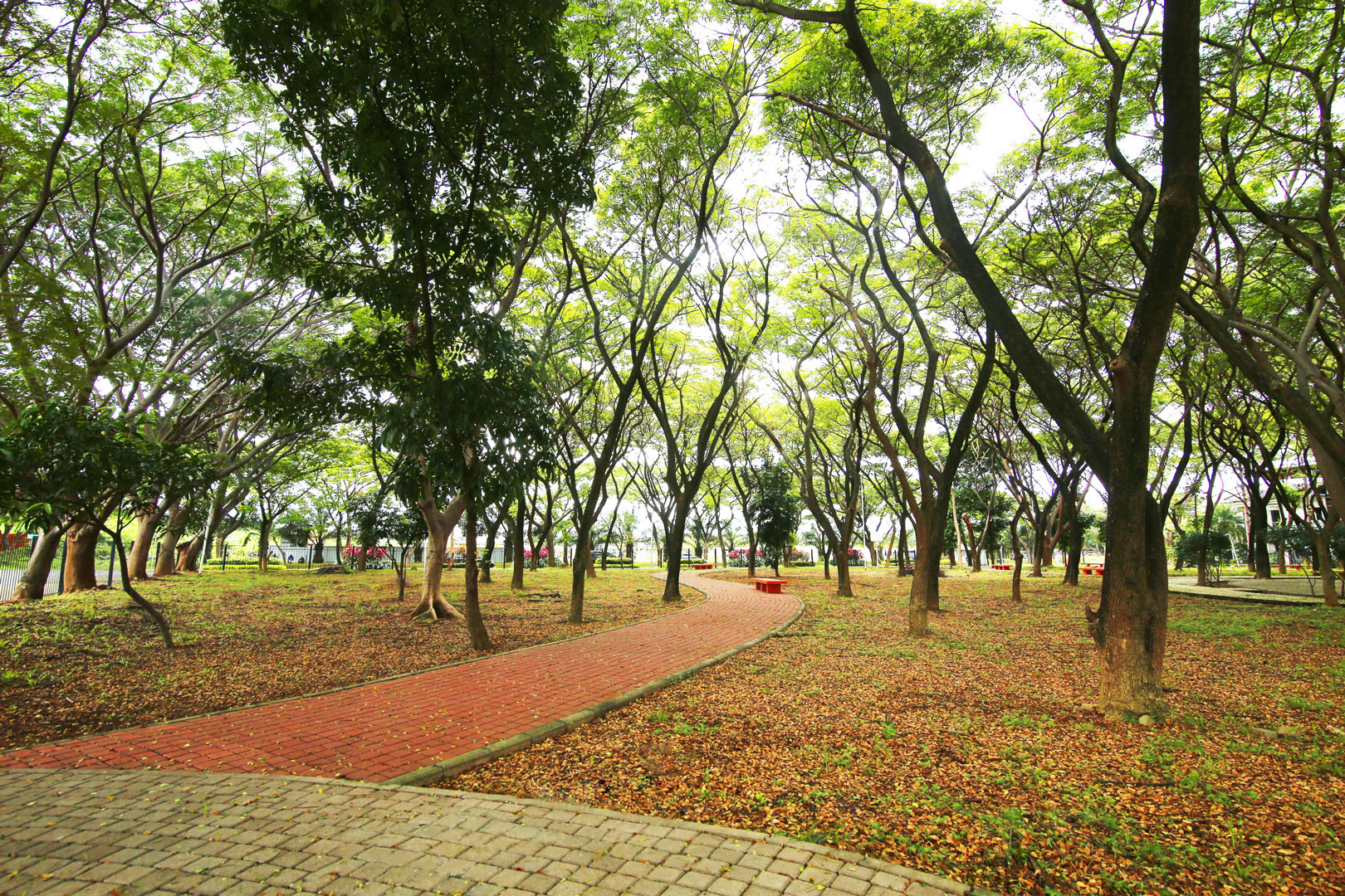 Hutan Kota